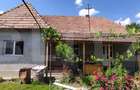 Casa cu 3 camere de vanzare, 80 mp, teren 2.323 mp, zona Iclandu Mare - 3