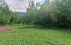 Teren de 4000 mp, în Izvoarele - 7