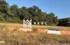 Teren intravilan de vanzare | Cisnadie | 1.316 mp | hala metalica - 3