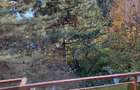 Apartament cu 2 camere de inchiriat in Zorilor balcon ?i confort!