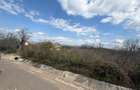 Casă cu 3 camere cu Teren 4000 Mp în Blăgești - 3