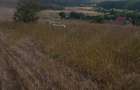 Teren extravilan 1500 mp (viitor intravilan) loc. Telita, comuna Frecatei, jud. Tulcea - 6