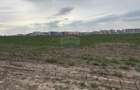 Teren 12.651 mp langa Metrou Berceni | Perfect Dezvoltare Rezidentiala - 4