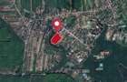 Silistea Snagovului, Teren 23.761 mp, deschidere 226 ml catre lac - 20