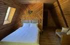 Cabana A-Frame , zona Bran - 7