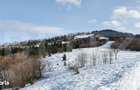 Teren de vanzare, destinatie constructii turistice, Bunloc, 7.300 mp - 1
