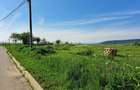 Teren zona Hepat 9300 mp - 6