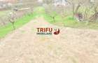 Teren de vanzare zona Micesti 1436mp