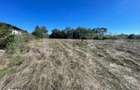 Teren intravilan de vanzare, 970mp, Turcinesti - 1