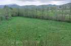 Teren intravilan agricol
