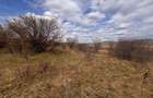 Teren extravilan in suprafata de 3500 mp, situat in zona Sigmir - 2