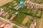 Teren 2400 mp - Tisa Noua, comuna Fantanele - 1