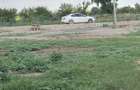 Vand teren intravilan Delta Dunarii in Pardina cu iesire la Dunare - 3