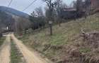 6000 MP intravilan, sat Bistrita, 9 Eur/MP - 3