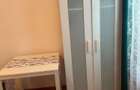 alba iulia moise nicoara confort 2