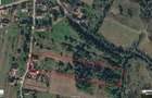 De vanzare teren intravilan 4.903 mp,sat Lunca 12 km Brad | Asfalt + autoriza?ie construire - 5