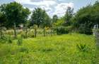 Casă locuibilă Șinca Veche – central, 931 mp teren, șură tradițională - 33