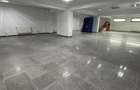 Spatiu stradal P+S, 254 mp + teren 75 mp, dubla intrare, Andronache