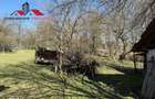 Casa si anexe cu un teren de 7701 mp de vanzare in Stauini Jud Alba - 8