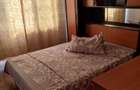 Inchiriere apartament 3 camere Drumul Taberei Ghencea - 5