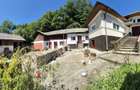 Casa 3 camere cu teren 572 mp, anexe si curte Godeni, Arges - 13