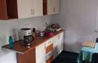 casa de vanzare Sorostin teren 4100 mp - 7