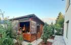 CASA -ZONA SELECTA ( foisor, gratar, beci, terase si curte amenajata) - 3