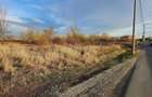 Teren 20.000 Mp | Penny Market | Otopeni | Negociabil | - 4