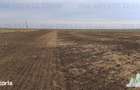 Oferim spre vanzare 6 loturi de teren extravilan (agricol) in Petrachi