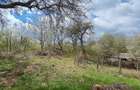 Proprietar, vand teren intravilan, priveliste superba panoramica, 2671 m2, Provita de Sus, Prahova - 3