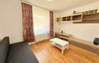Apartament cu 2 camere de inchiriat in cartierul Alfa, Arad - 9