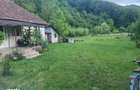 Vand casa cu gradina - 2