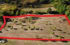 Super view | Teren 8.500 m2 Maramures | Viitorul tau colt de liniste - 3