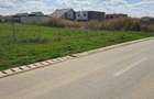 Teren de 2380 mp, în Dumbrăvița - 3