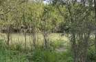 Teren intravilan - 500mp - proprietar - 1