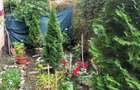 Apartament cu 3 camere in Cehu-Silvaniei - 6