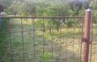 Casă cu 3 camere în Dumbrăveni - 6
