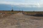 Teren LAC Butimanu - Barbuceanu 19000 m2 deschidere 51m lac - 37m la drum - 5