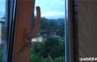 Apartament 2 camere mobilat si utilat