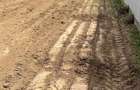 Teren 1300mp (10m x 130m) - Trecatoarea Holtului, Letea Veche - 2