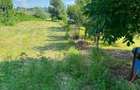 Vand teren ptr constructie casa de vacanta,la Divici,deschidere la Dunare 17 m - 4