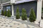 Spatiu Comercial Mamaia Nord - 6