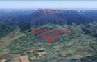 Teren Tohanu Nou, intrare Sohodol, 4800mp - 17