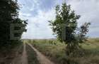 Parcela 702 mp, dubla deschidere, Carcea - Metro - 2