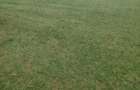 vand teren intravilan 2900mpa - 4