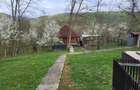 Casa + teren de vanzare - 4