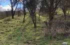 Teren intravilan 1.000 mp, Rm Valcea punct Buda, panorama deosebita, toate utilitatile - 2