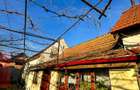 Casa in Bradu | 700 mp Teren | Acces Asfalt | Oportunitate Excelenta - 7