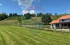 Teren 1,308mp Vama Buzaului / Strada Principala