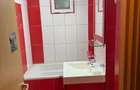 Apartament 2 camere, Parter, Banat, Renovat - 7